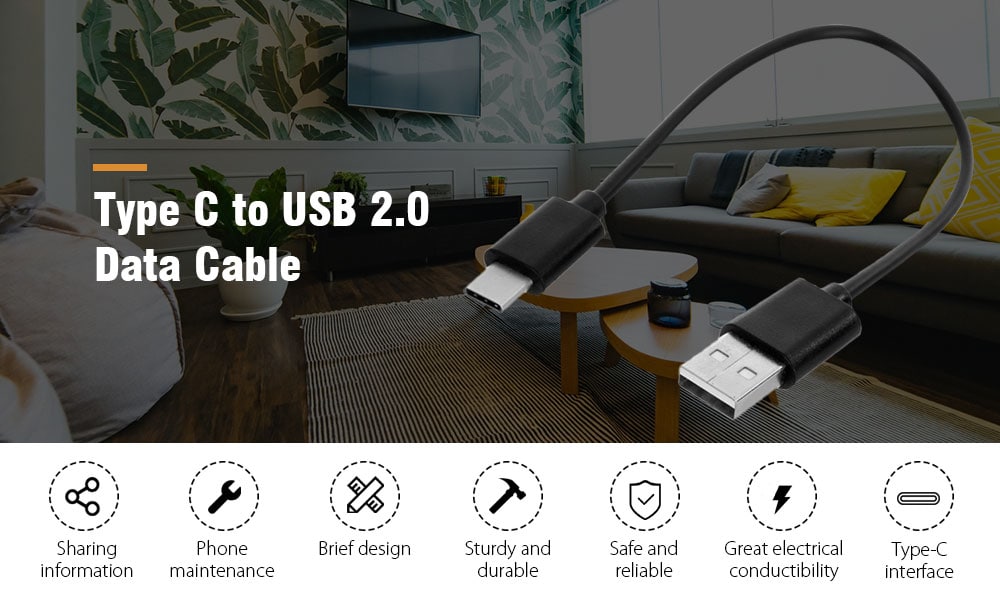 USB 3.1 Type C to USB 2.0 Charging / Data Sync Cable 25cm- Black