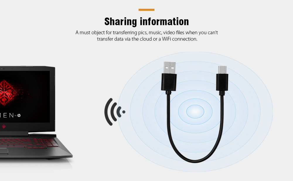 USB 3.1 Type C to USB 2.0 Charging / Data Sync Cable 25cm- Black