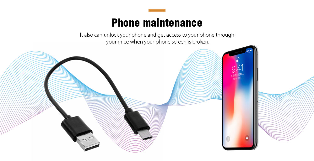 USB 3.1 Type C to USB 2.0 Charging / Data Sync Cable 25cm- Black